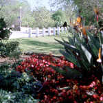 Flowers in Via Marisol Park along Arroyo Seco Parkway