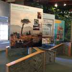 Inside the Grassy Hollow Visitor Center