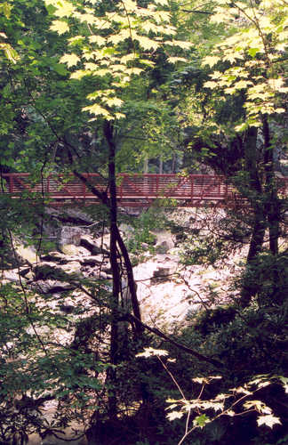Bridge over Wolf Creek