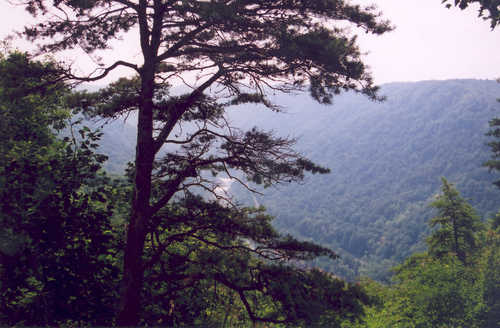 New River Gorge from Canyon Rim Visitor Center