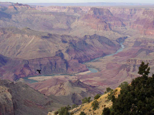 Flying over the Grand Canyon