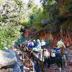 The Kaibab Trail in Grand Canyon National Park