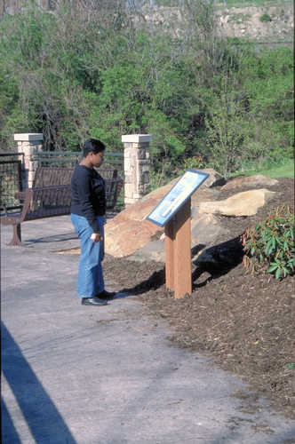 Visitor Reading Interpretation Sign at Mill Creek Falls