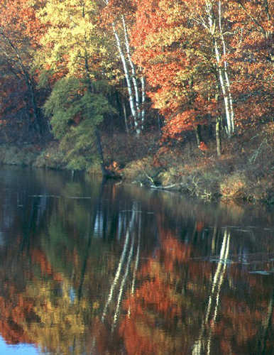 Fall Color Reflected in the Lake