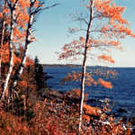 Fall Colors Along the North Shore Scenic Drive