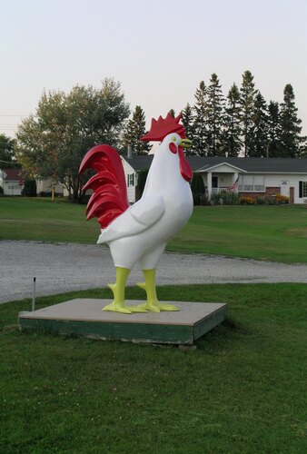Chicken Statue in Two Harbors