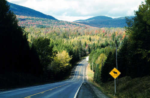 Heading North on the Old Canada Road
