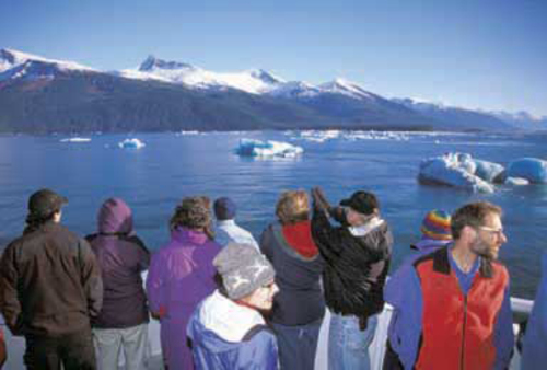 Icebergs in Taku Inlet