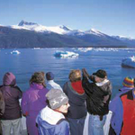Icebergs in Taku Inlet