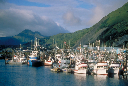 Kodiak Harbor