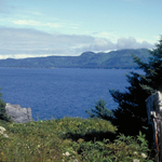 Kodiak Coastal Scene
