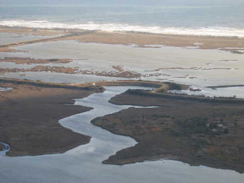 Waterfowl Impoundments at the Heart of the Pea Island National Wildlife Refuge