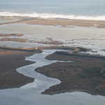 Waterfowl Impoundments at the Heart of the Pea Island National Wildlife Refuge