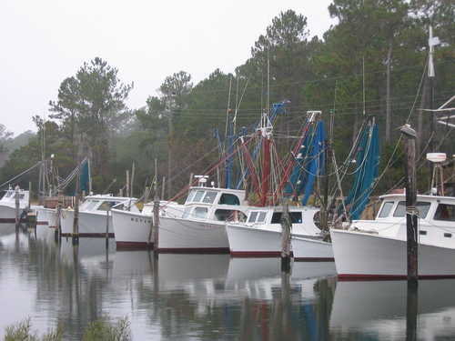Harkers Island Boats at Davis Harbor
