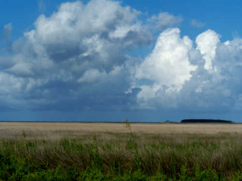 Thorofare Marsh and Sky
