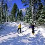 Cross-country Skiing on a Gunflint Ski Trail