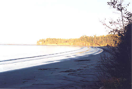 A Beach on the Crescent Bay Loop