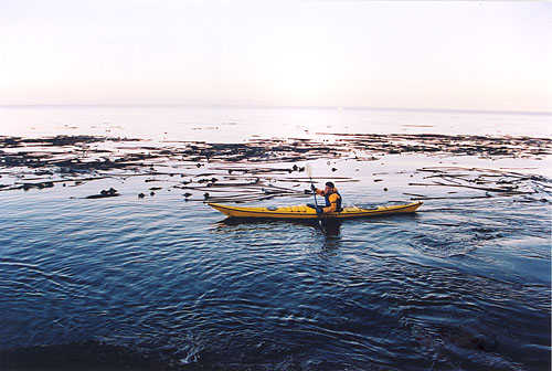 The Waters of the Salt Creek Recreation Area