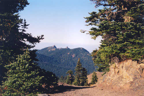 Tree-Blanketed Hills in Olympic National Park