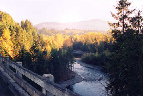 A View to the South from the Old Elwha Bridge