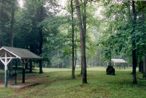 The Greenery of Spruce Pine Hollow Park