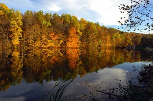 A Reflection of Autumn