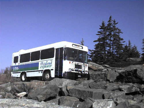 A Bus on Blueberry Hill