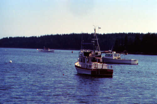 Lobster Boats in the Atlantic
