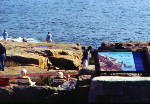 Interpretive Signs at Schoodic Point