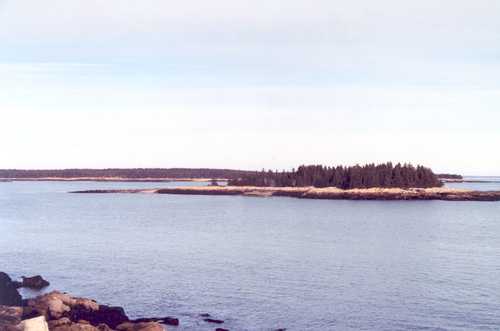 View From Schoodic Point Road