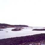 Ocean at End of Schoodic Point Road