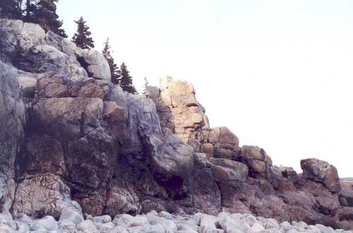 Rock Face at Schoodic Point