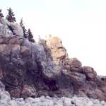 Rock Face at Schoodic Point