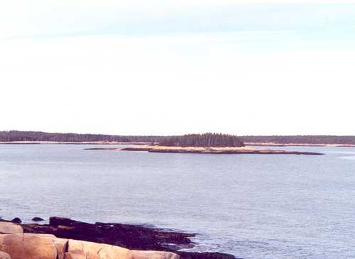 Ocean and Coast from Schoodic Point