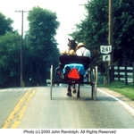Amish Boys with Father in Horse-drawn Cart