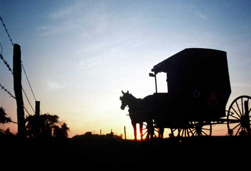 Amish Buggy at Sunset