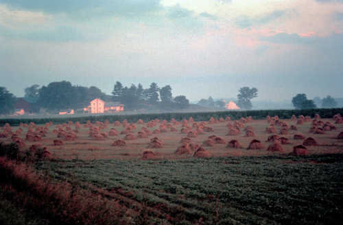 Farmstead in the Mist