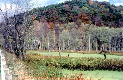 Killbuck Marsh