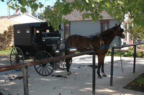 Horse and Carriage in Winesburg