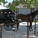 Horse and Carriage in Winesburg