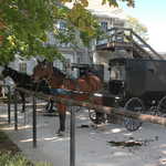 Hitching Post and Carriages