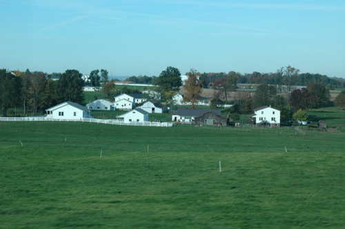 White Farms