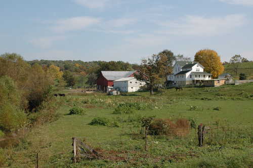 Grazing on a Farm near the Amish Country Byway