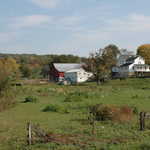 Grazing on a Farm near the Amish Country Byway