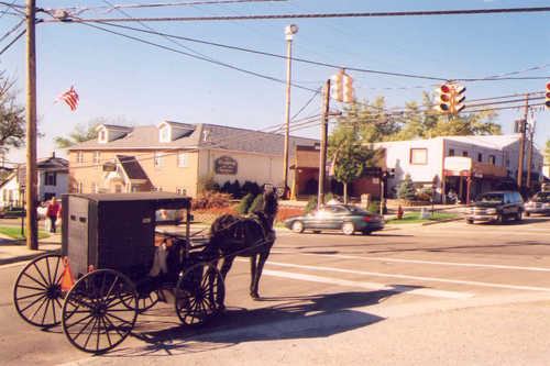 Carriage at Stoplight