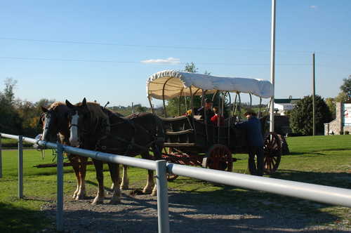 Horse and Wagon at Amish and Mennonite Heritage Center