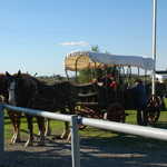 Horse and Wagon at Amish and Mennonite Heritage Center
