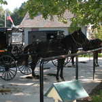 Shady Parking for Horse-Drawn Carriages