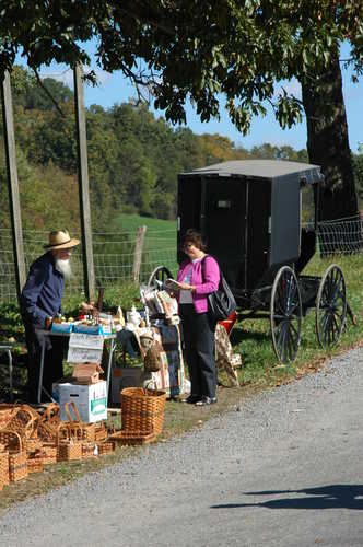 Woman at Roadside Stand