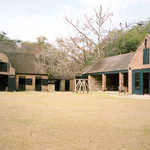 The Stable Yard of Middleton Place